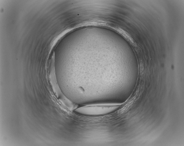 X0000070880854200607150144