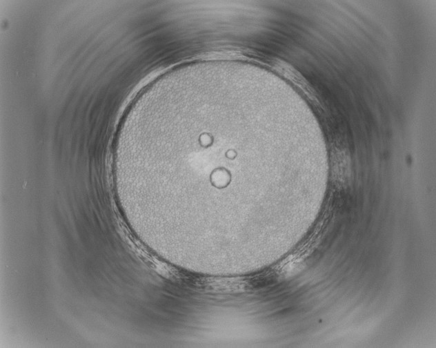 X0000070880856200607150144