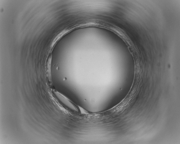 X0000070880858200607150144