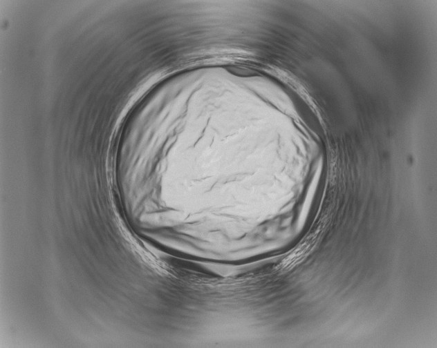 X0000070880859200607150144