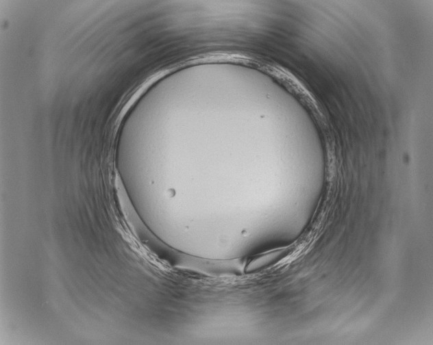 X0000070880860200607150144