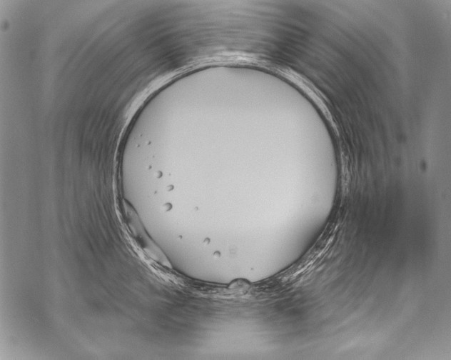 X0000070880861200607150144