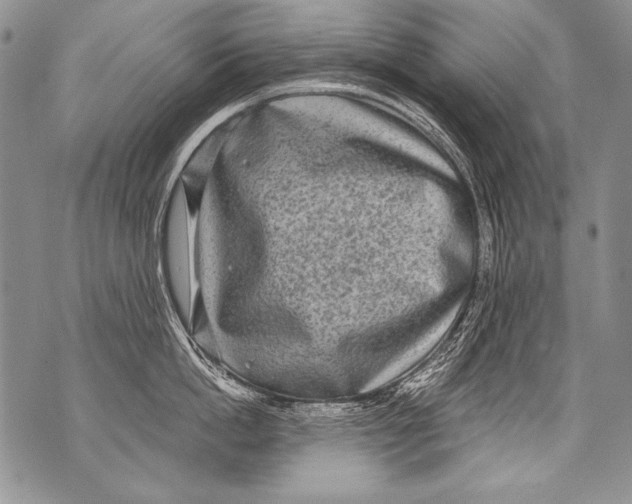 X0000070880862200607150144