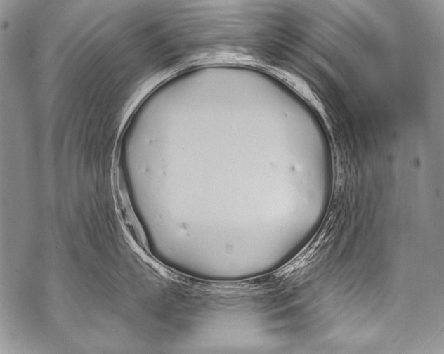 X0000070880863200607150144