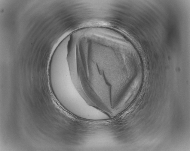 X0000070880864200607150144