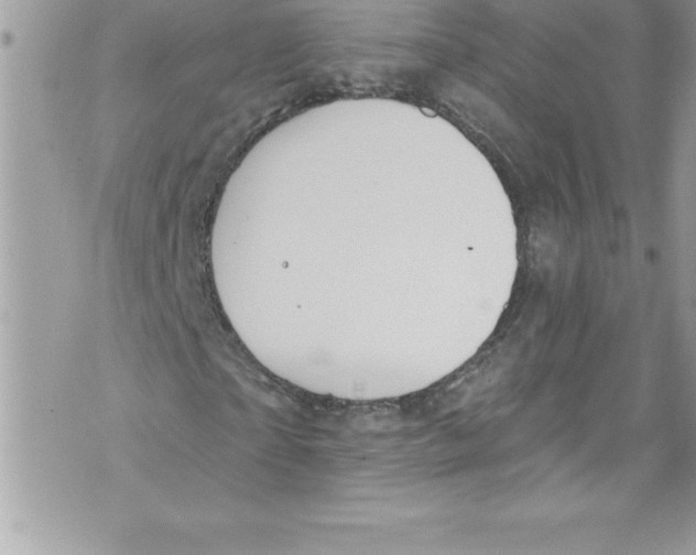 X0000070880865200607150144