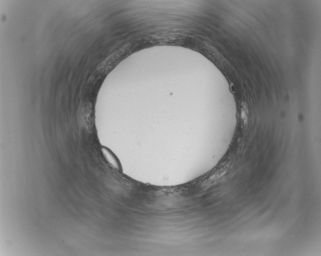 X0000070880867200607150144