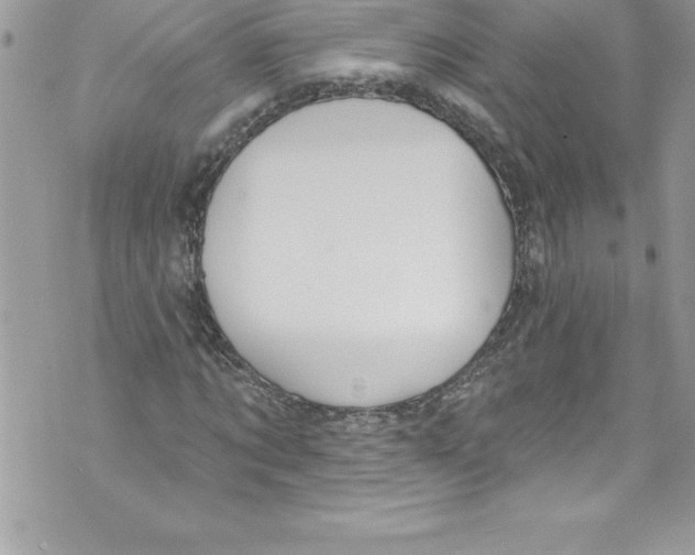 X0000070880869200607150144