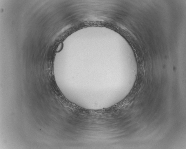 X0000070880870200607150144