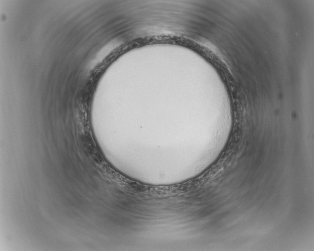 X0000070880871200607150144