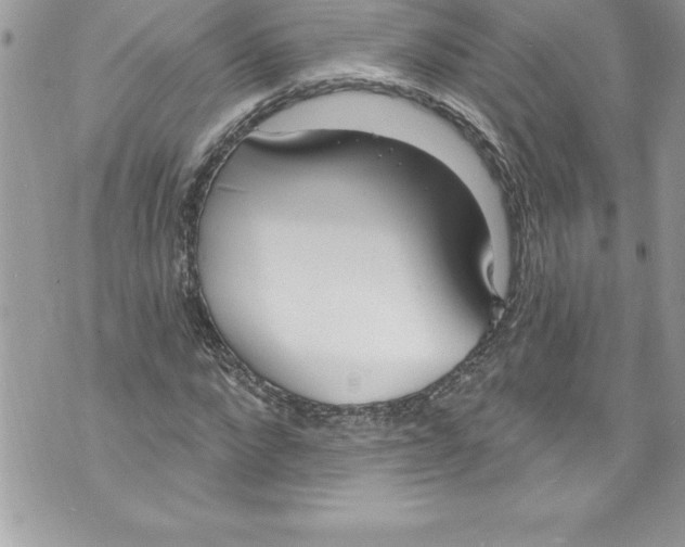 X0000070880872200607150144