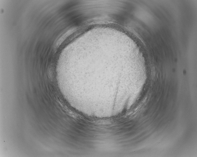 X0000070880874200607150144