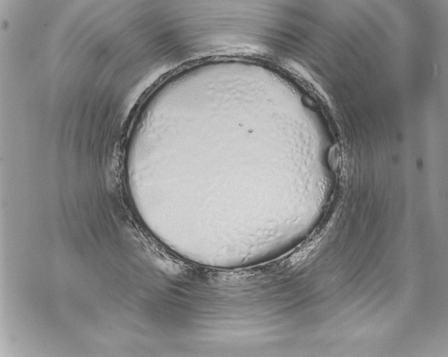 X0000070880875200607150144