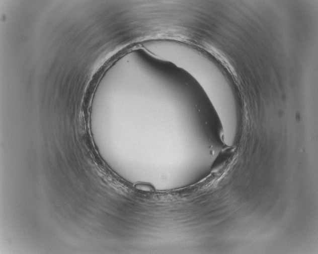 X0000070880876200607150144