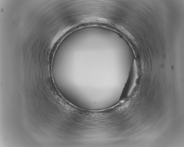 X0000070880877200607150143