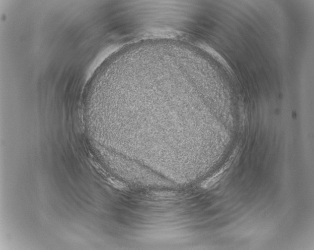 X0000070880878200607150143