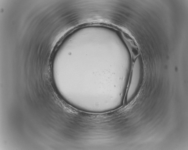 X0000070880879200607150143