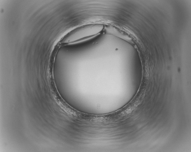 X0000070880880200607150143