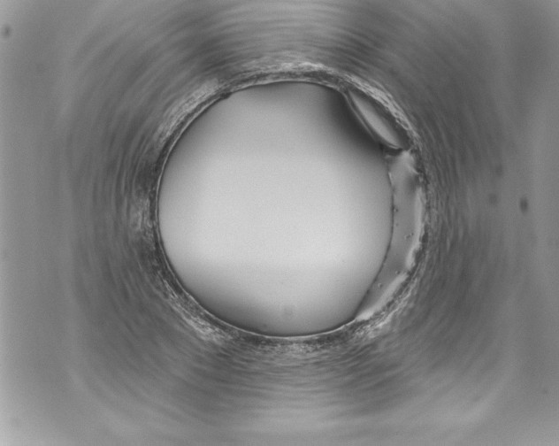 X0000070880881200607150143