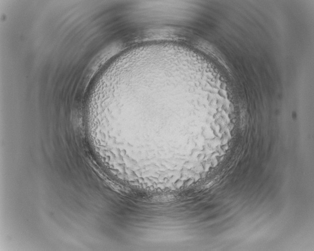 X0000070880882200607150143