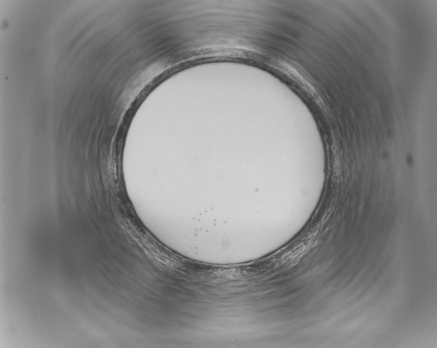 X0000070880883200607150143