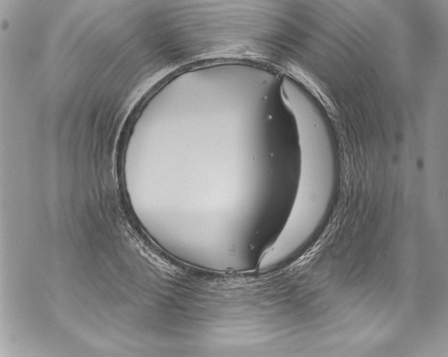 X0000070880884200607150143