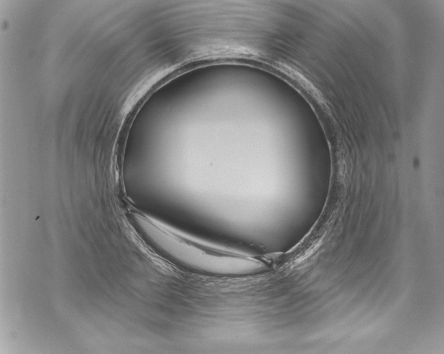 X0000070880885200607150143