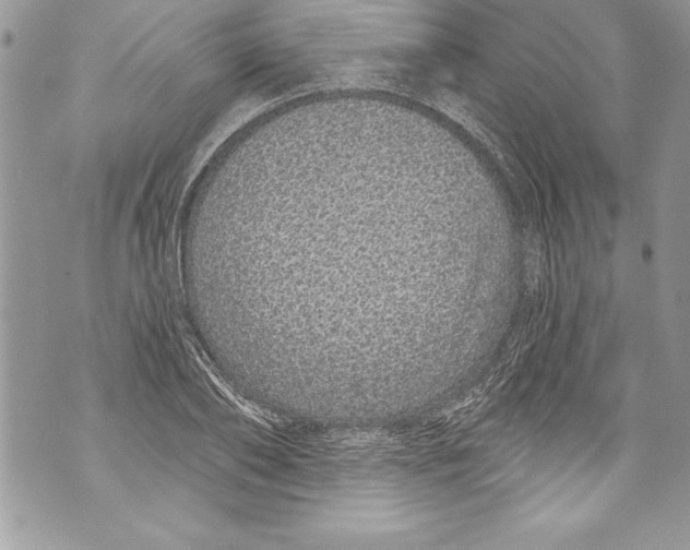 X0000070880886200607150143