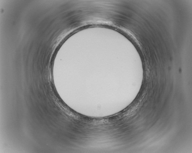 X0000070880887200607150143