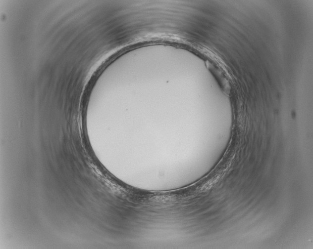 X0000070880888200607150143