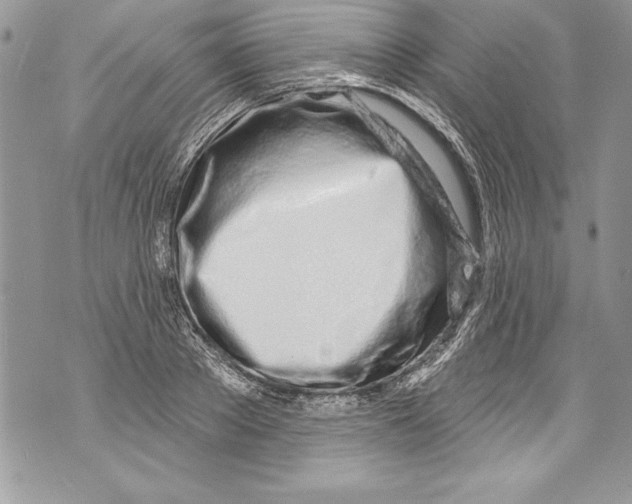 X0000070880889200607150143