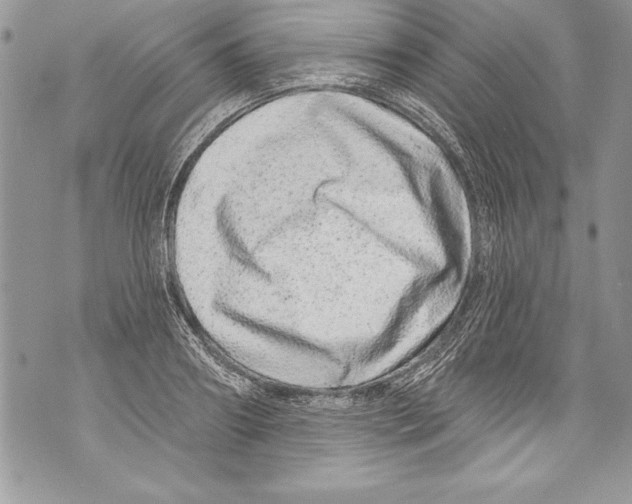 X0000070880890200607150143