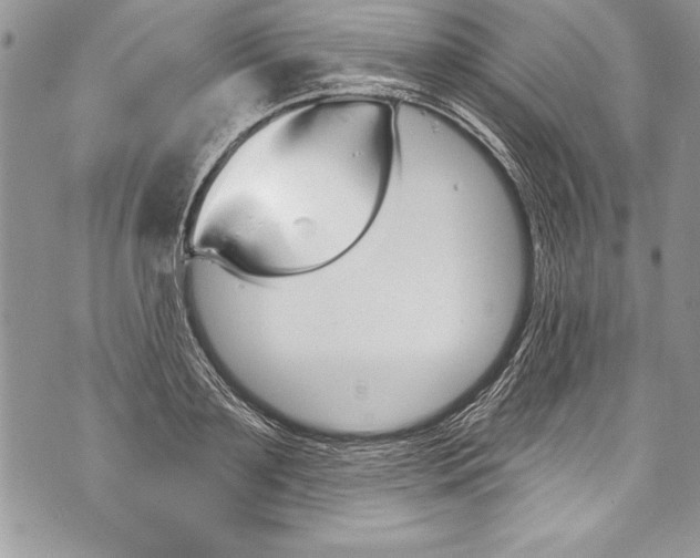 X0000070880891200607150143