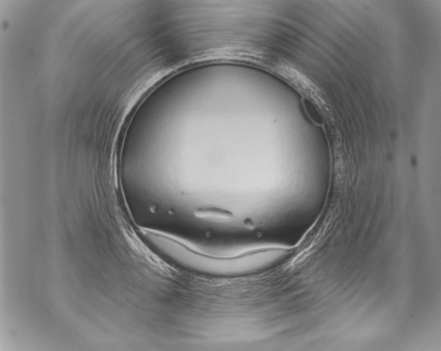 X0000070880892200607150143