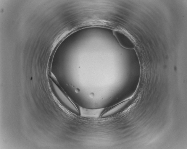 X0000070880893200607150143