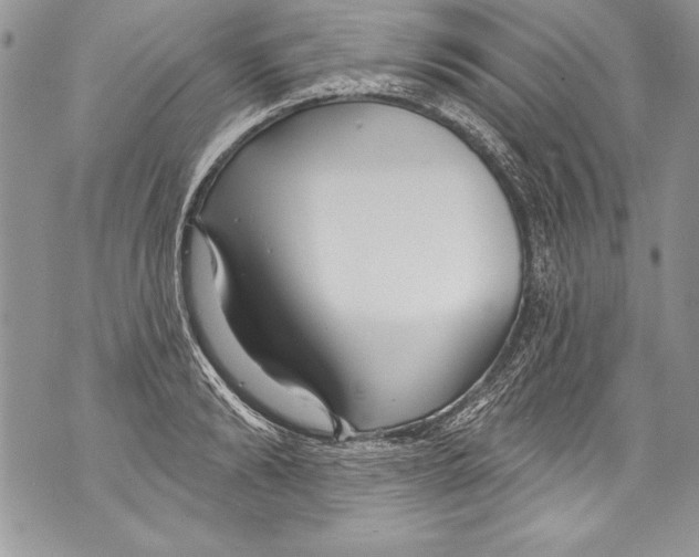 X0000070880894200607150143