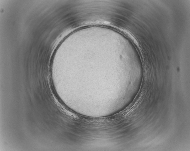 X0000070880895200607150143