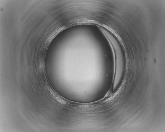 X0000070880897200607150143