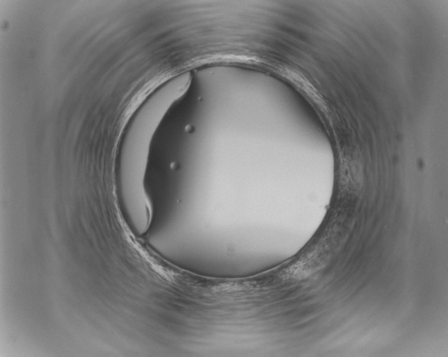 X0000070880898200607150143