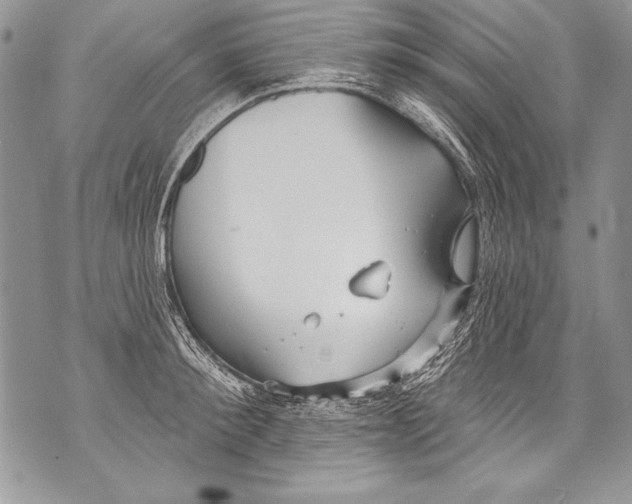 X0000070880900200607150143