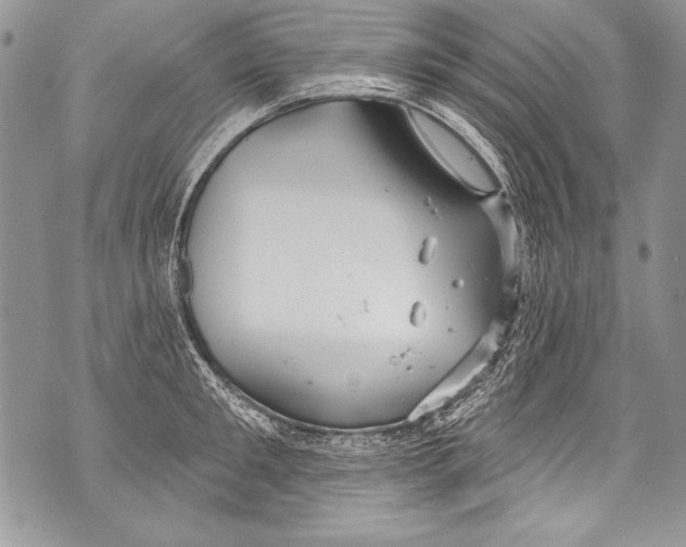 X0000070880901200607150143