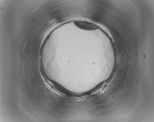 X0000070880903200607150143