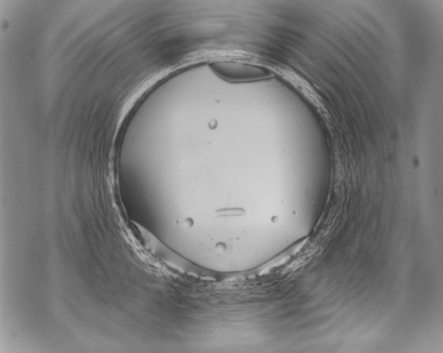 X0000070880904200607150143