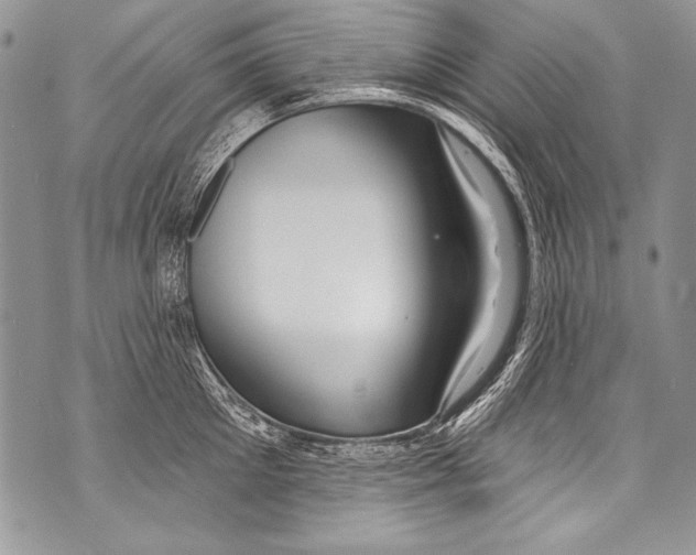 X0000070880905200607150143