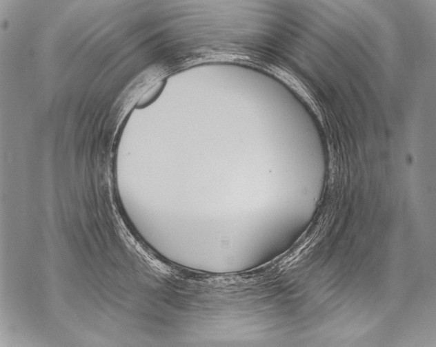 X0000070880906200607150143