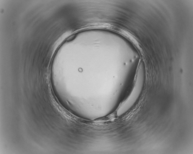 X0000070880907200607150143