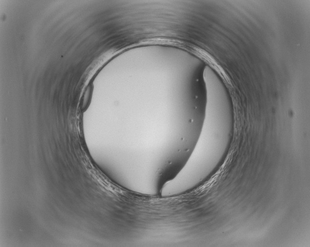 X0000070880908200607150143