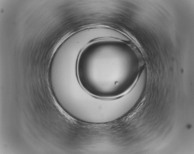 X0000070880909200607150143