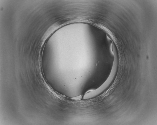 X0000070880910200607150143