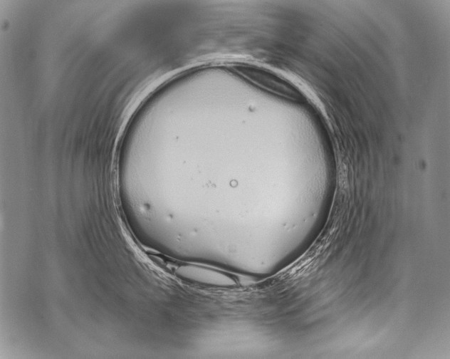 X0000070880911200607150143